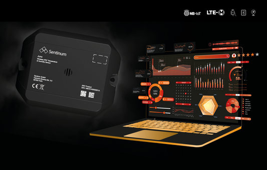 Temperatur und Asset Tracking mit Juno IP67 TH Tracker cellular mit Webapp