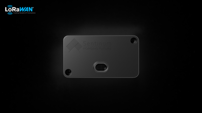 Apollon-ZETA Funkstandards ZETA: LoRaWAN®