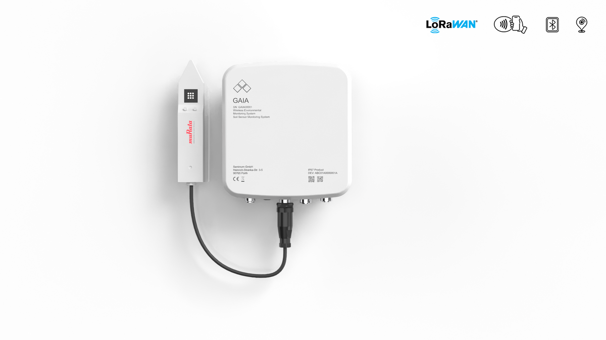 IoT Bodenfeuchtesensor lora, Gaia Anschlussbox und Murata Bodensensor, bodenfeuchte messen